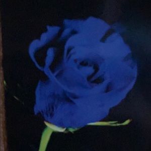 Meet your Posher, Gerard